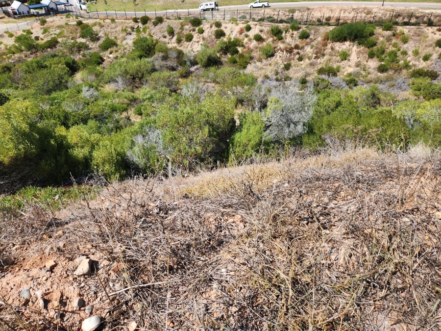 0 Bedroom Property for Sale in Menkenkop Western Cape